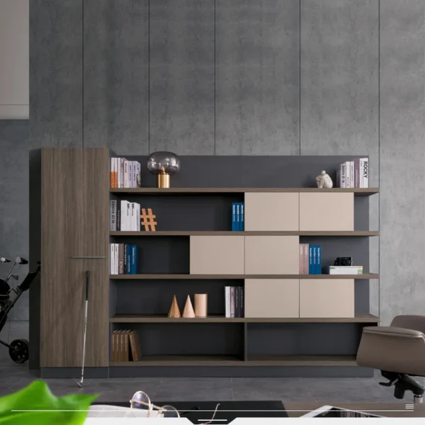 5-Shelf Bookcase with Wardrobe – LI-2001