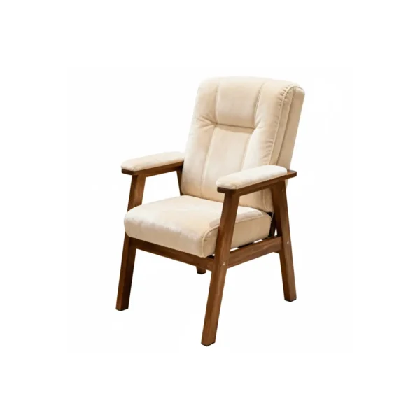 Manicure Chair for Nail Salon